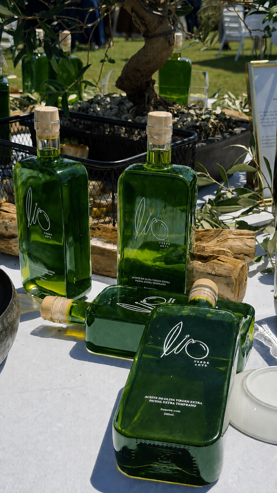 LIO VERDE AOVE